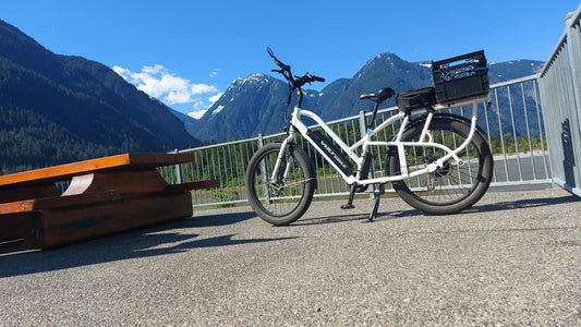 Best Electric Cargo Bikes