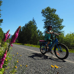 Why the Kodiak Cargo E-Bike is Perfect for Whistler
