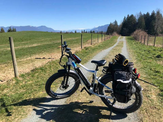 Best Electric Fat Bike Voltbike Yukon