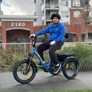 Best Electric Trikes - Comparison