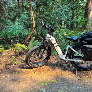 Electric Step-Thru Bike Voltbike Yukon