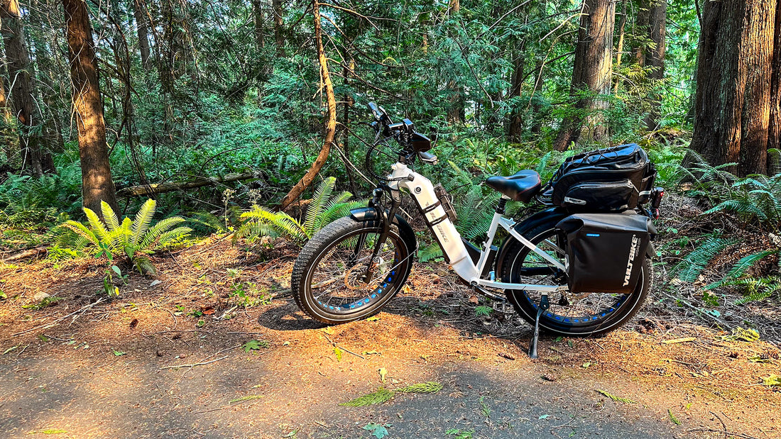Electric Step-Thru Bike Voltbike Yukon