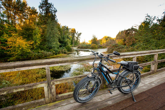 Electric Fat Bike on a bridge