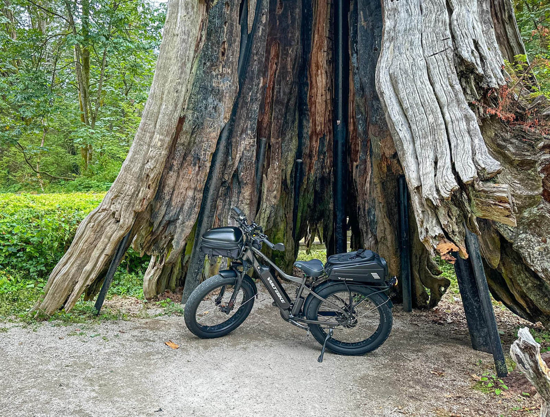 Why Revelstoke, BC is the Perfect Town for a VoltBike Yukon 750