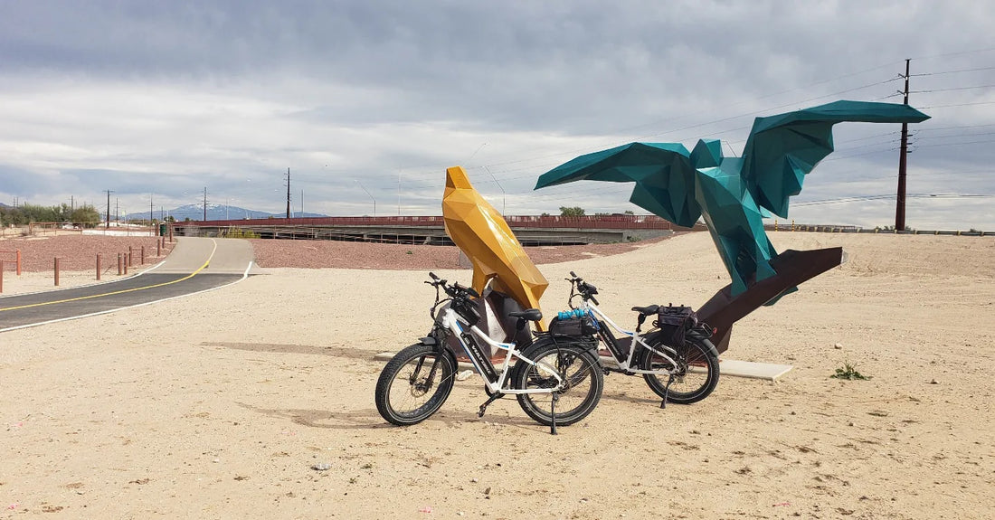 Electric Fat Bike with Hub Motor