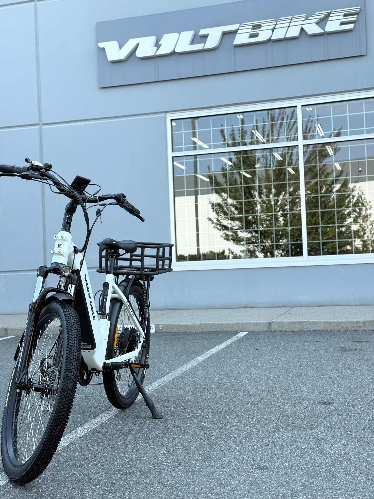 Rear Basket