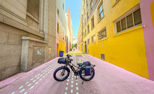 ebike fat tires