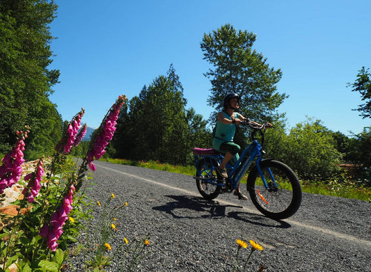 Why the Kodiak Cargo E-Bike is Perfect for Whistler