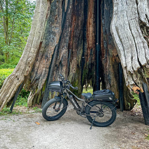 Why Revelstoke, BC is the Perfect Town for a VoltBike Yukon 750