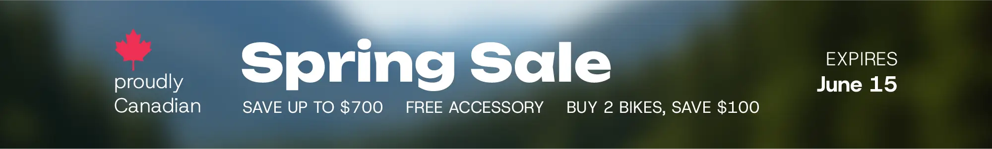 Site banner for current sale.